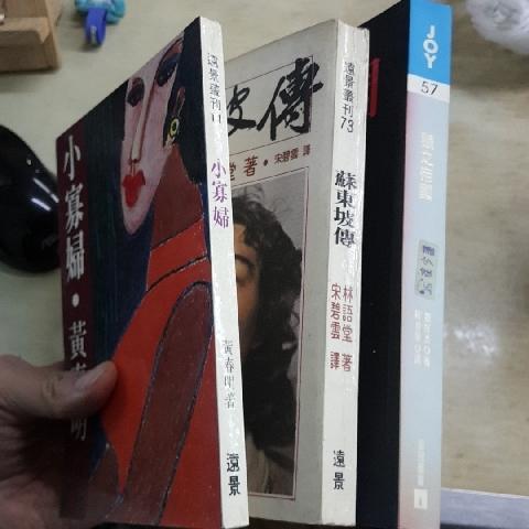 小寡婦 書 - EcoLoop Reuse 示範店 二手商品