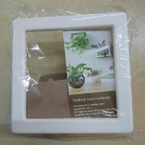 掛壁盆栽 - EcoLoop Reuse 示範店 二手商品