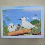 拼圖300片 - EcoLoop Reuse 示範店 二手商品