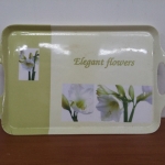 塑膠托盤42X29CM - EcoLoop Reuse 示範店 二手商品