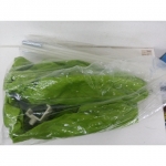 兒童床上帳篷 - EcoLoop Reuse 示範店 二手商品