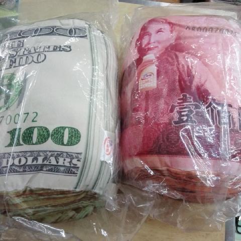 全新百元/美金抱枕(單售) - EcoLoop Reuse 示範店 二手商品
