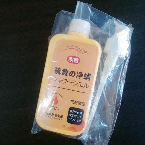 硫磺淨蹣沐浴皂液 - EcoLoop Reuse 示範店 二手商品