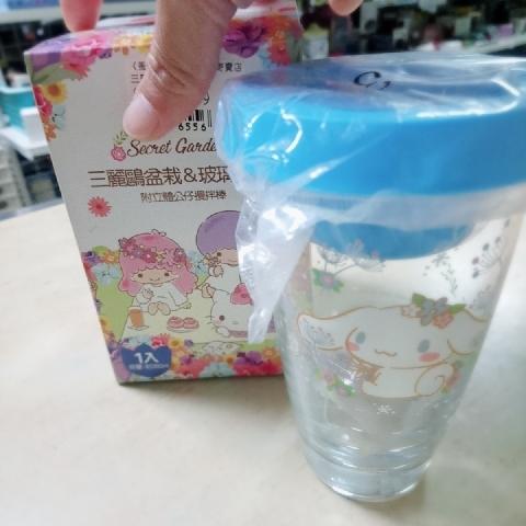三麗鷗盆栽 - EcoLoop Reuse 示範店 二手商品